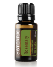 Load image into Gallery viewer, Rosemary - Rosemarinus Officinialis - Essential Oil