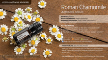 Load image into Gallery viewer, Roman Chamomile - Anthemis Nobilis - Essential Oil