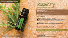 Load image into Gallery viewer, Rosemary - Rosemarinus Officinialis - Essential Oil